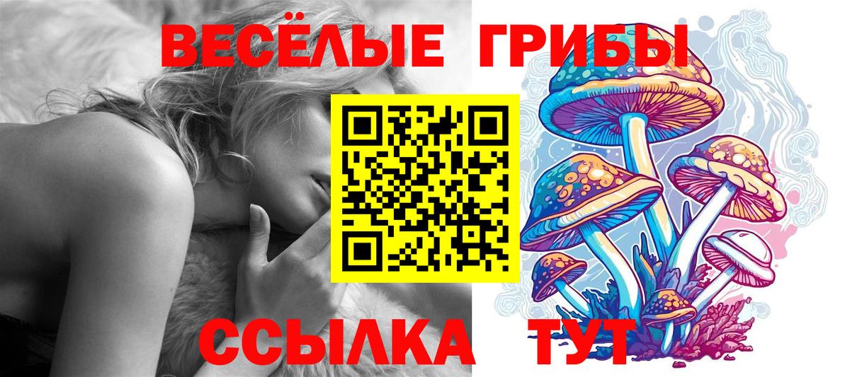 Псилоцибиновые грибы Magic Shrooms Ленинск-Кузнецкий